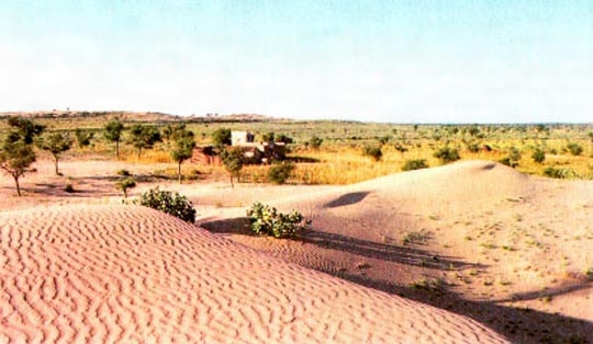 済法寺 筆録－2008年12年－